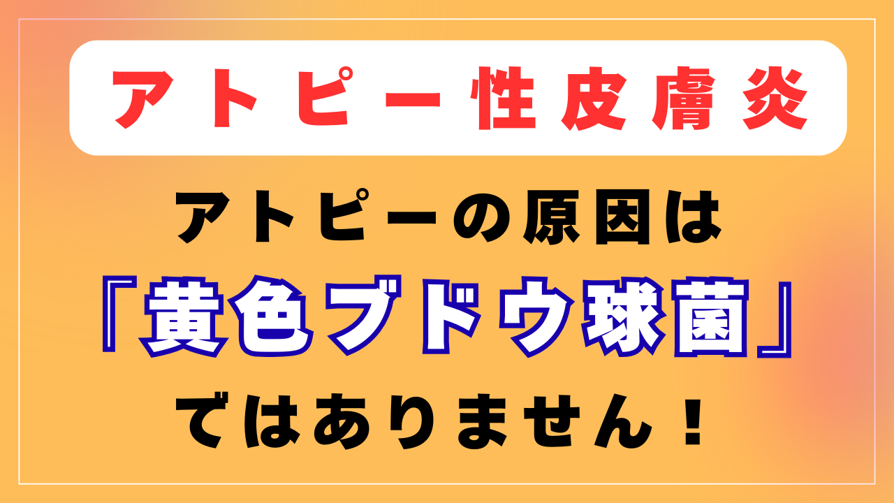 「黄色ブドウ球菌」がアトピーの原因なの？