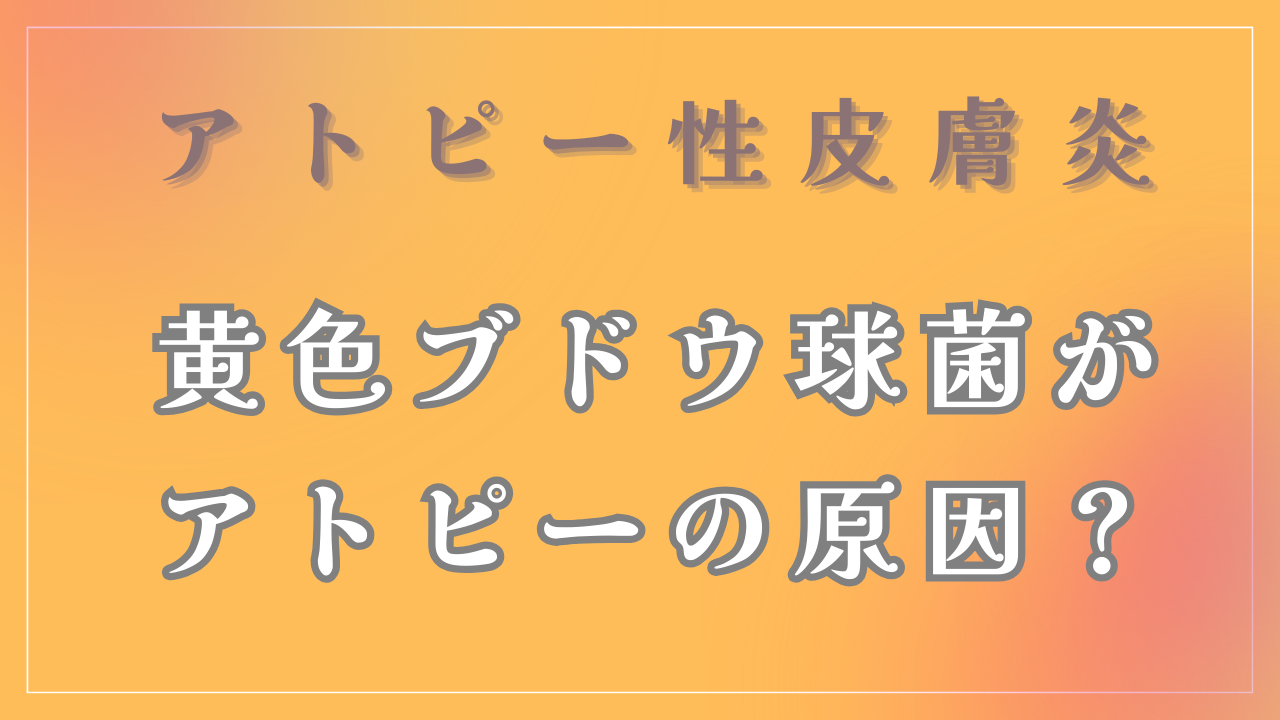 「黄色ブドウ球菌」がアトピーの原因なの？