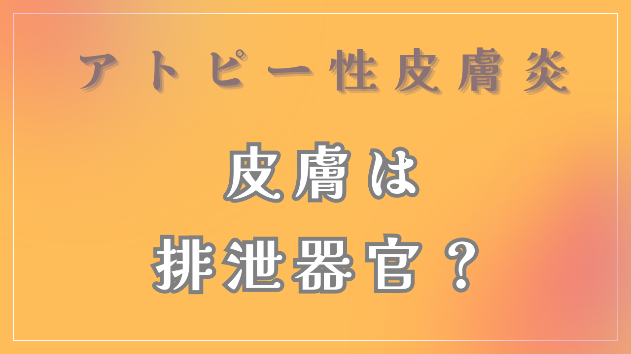 皮膚は排泄器官なの？