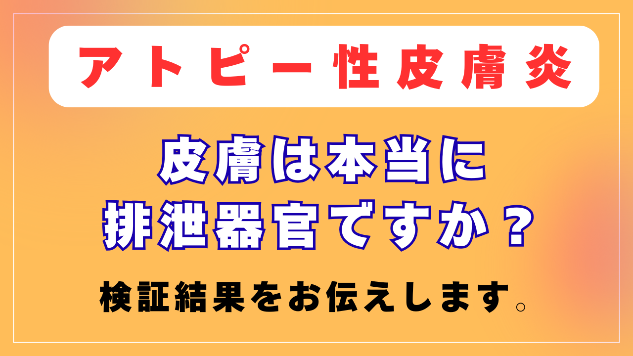 皮膚は排泄器官なの？