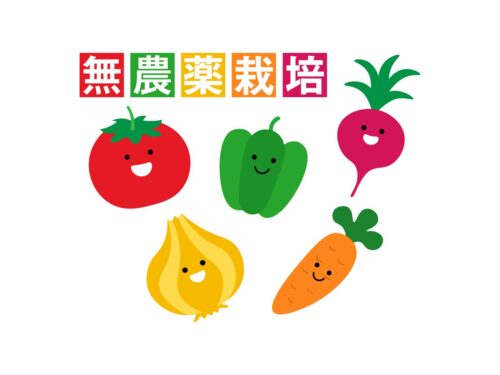 無農薬野菜