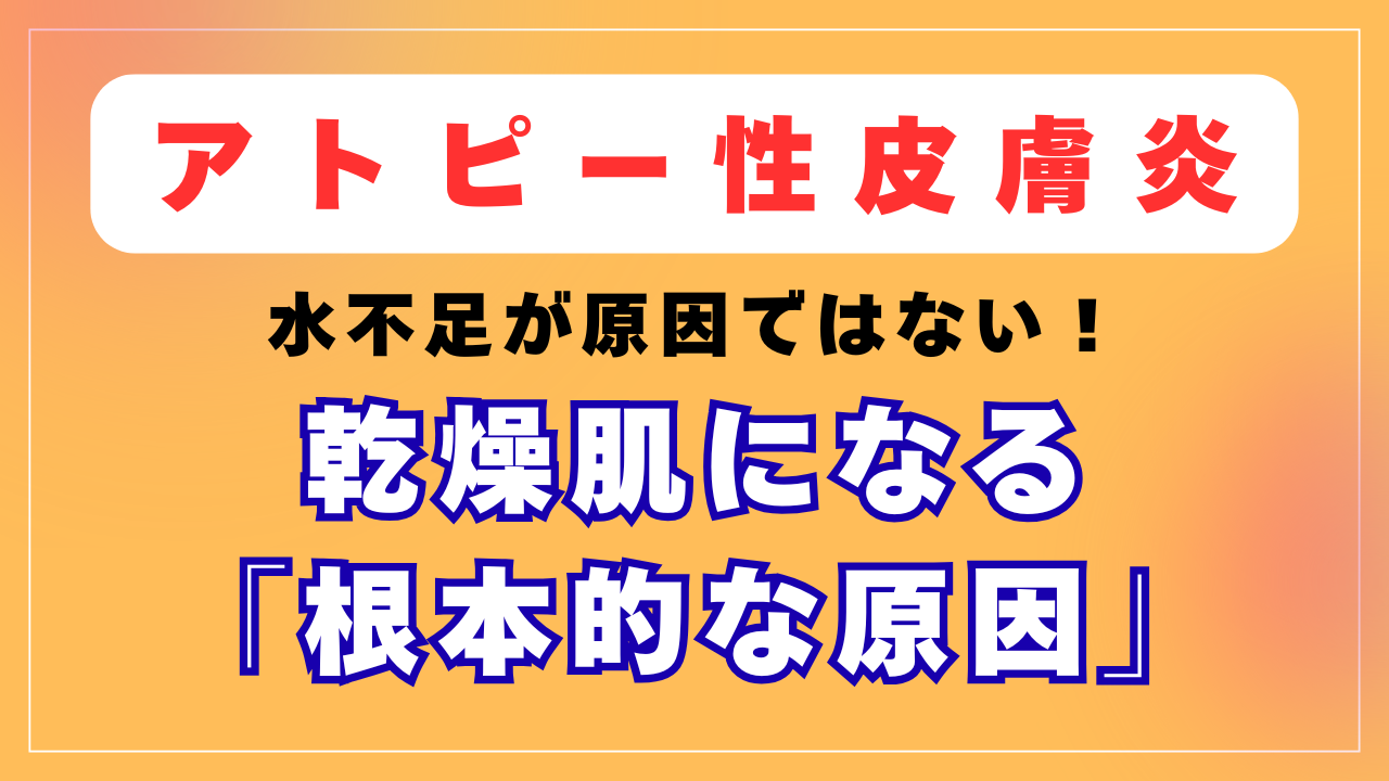 アトピーの方が乾燥肌になる根本的な原因