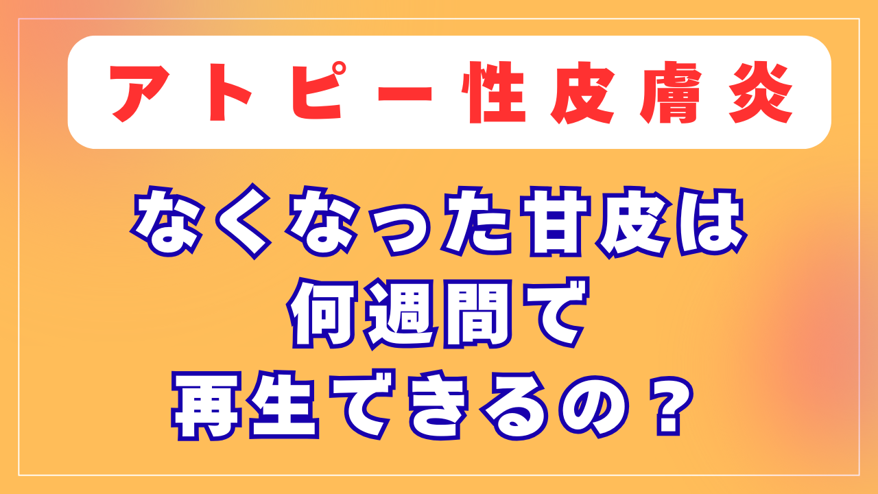 なくなった甘皮は何週間で再生できるの？