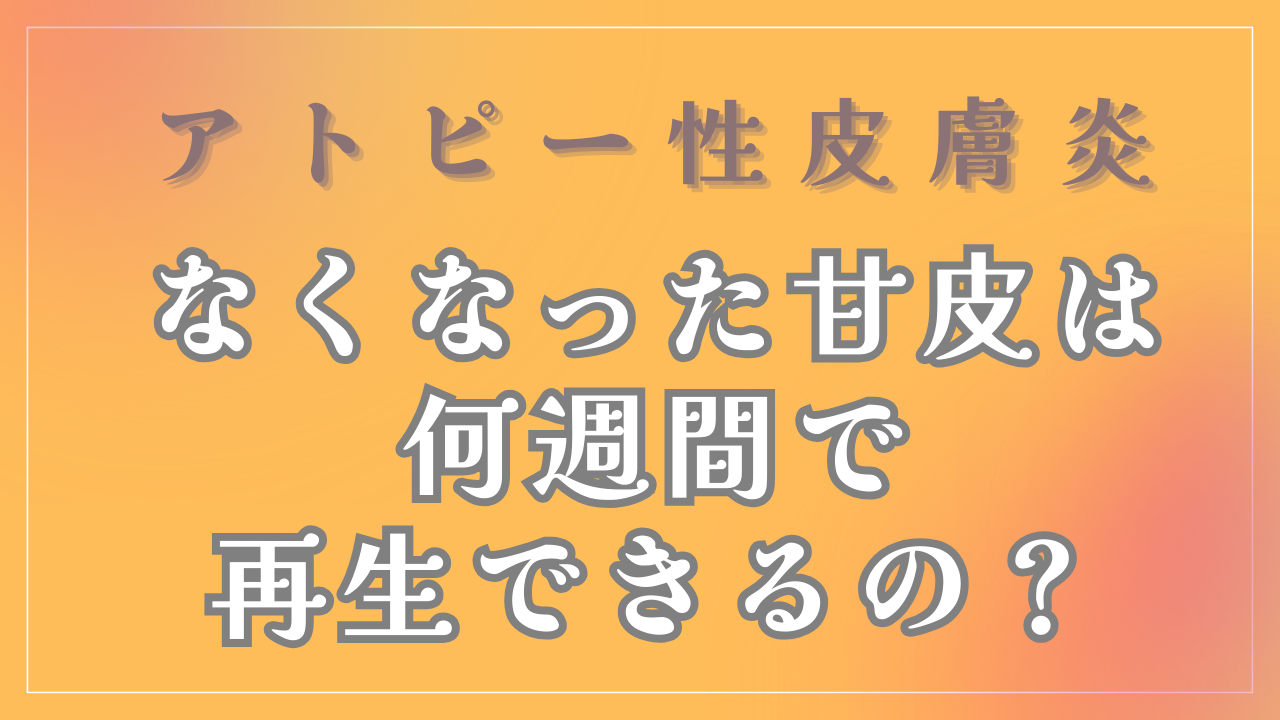 なくなった甘皮は何週間で再生できるの？